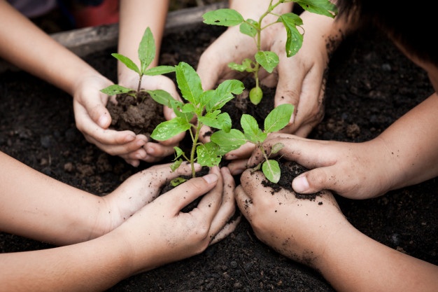 miniatura proyecto cuidado del medio ambiente