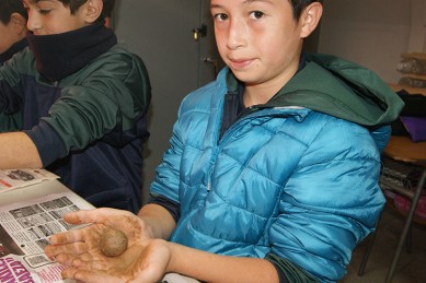 taller huerto 2018